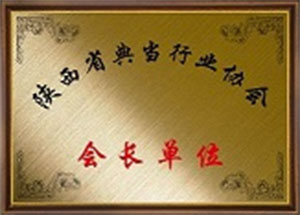 陜西省典當(dāng)協(xié)會(huì)會(huì)長(zhǎng)單位